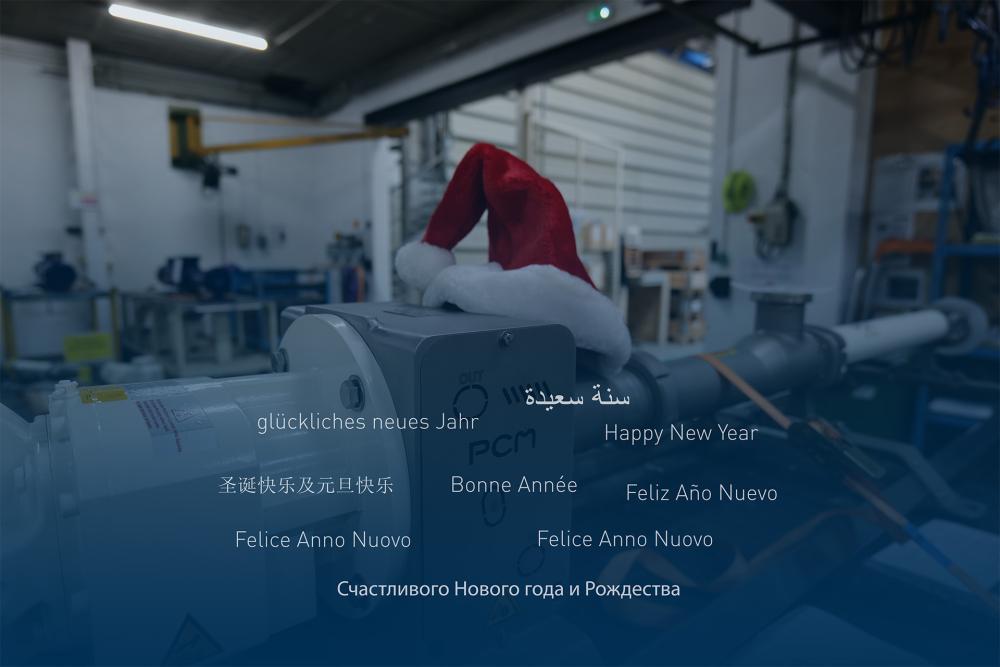 New_Year_PCM_2025